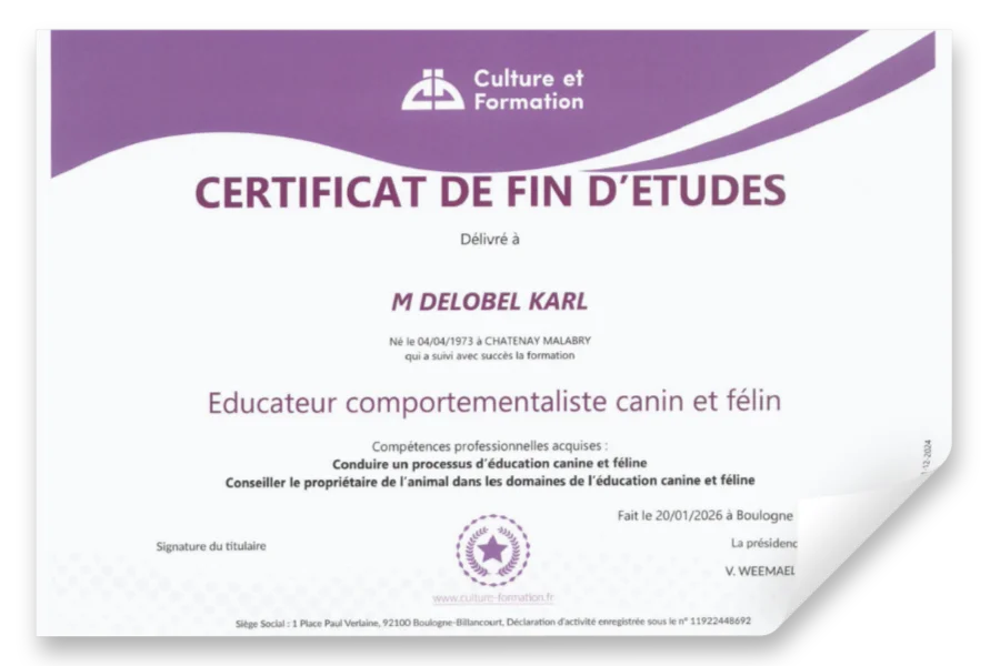 Certificat Fin Etude DELOBEL