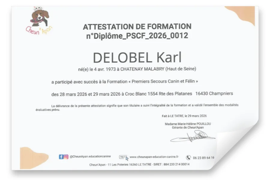Diplome Karl Delobel Premiers secours