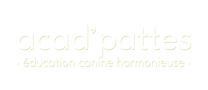 Logotype-AcadPattes-Web